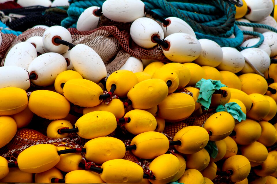 Fishing karabl catch