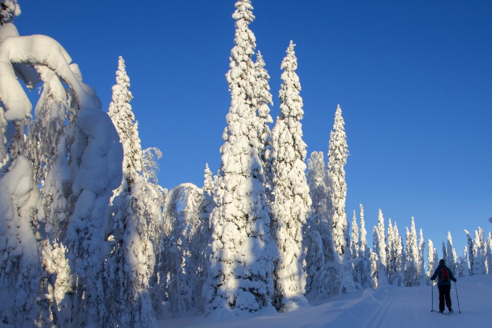 Wintry finland cold