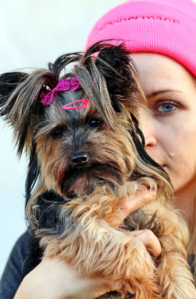 Friendship dog eye