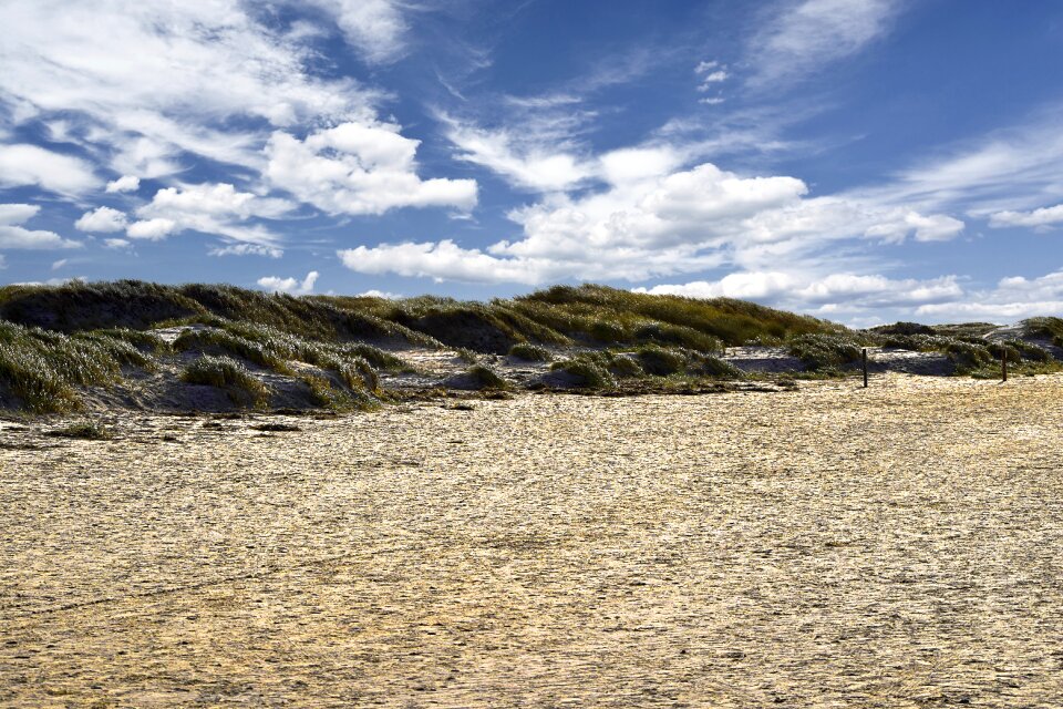 Sand beach background sand dune