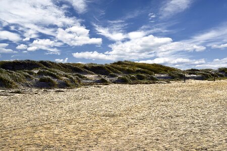 Sand beach background sand dune photo