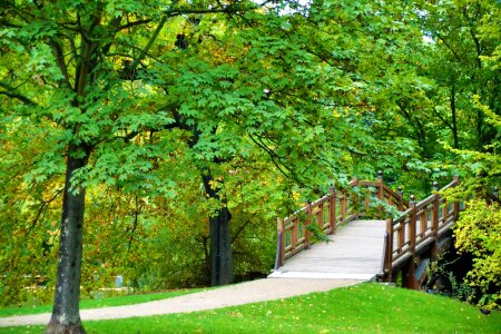 Spring water landscape photo