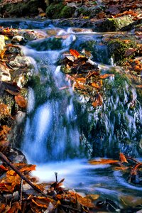 The beauty of nature the brook landscape