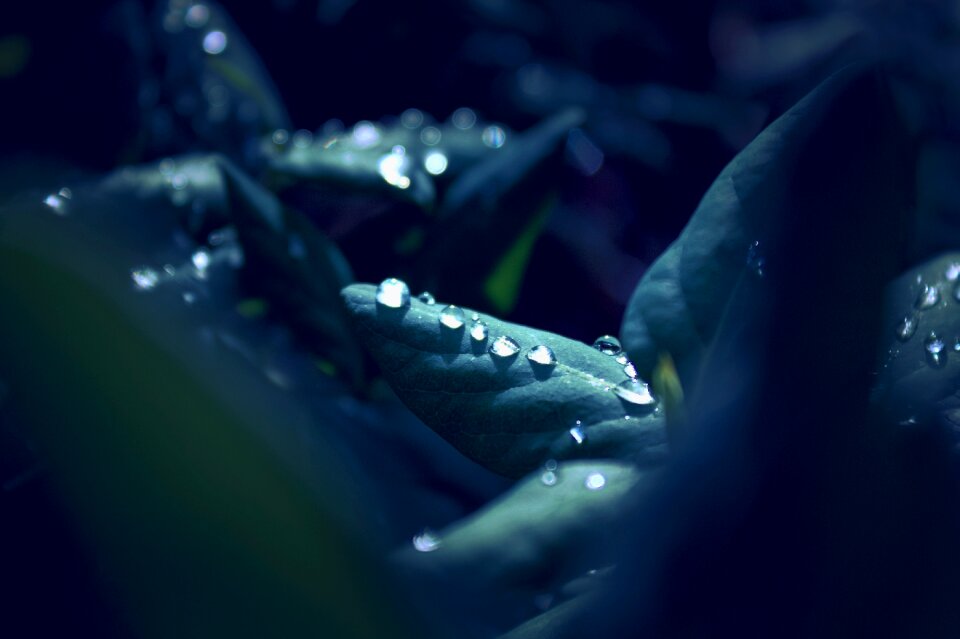 Close up mirroring nature