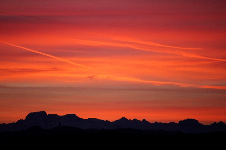 Morning emergence switzerland