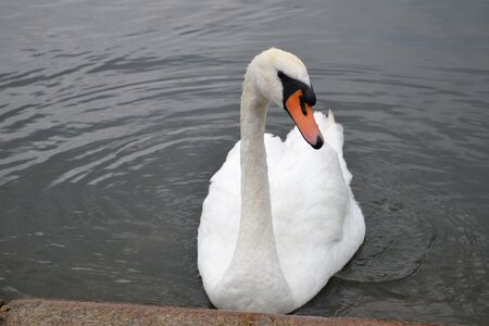 Lake england london