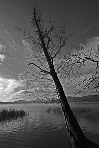 Lake black and white water photo