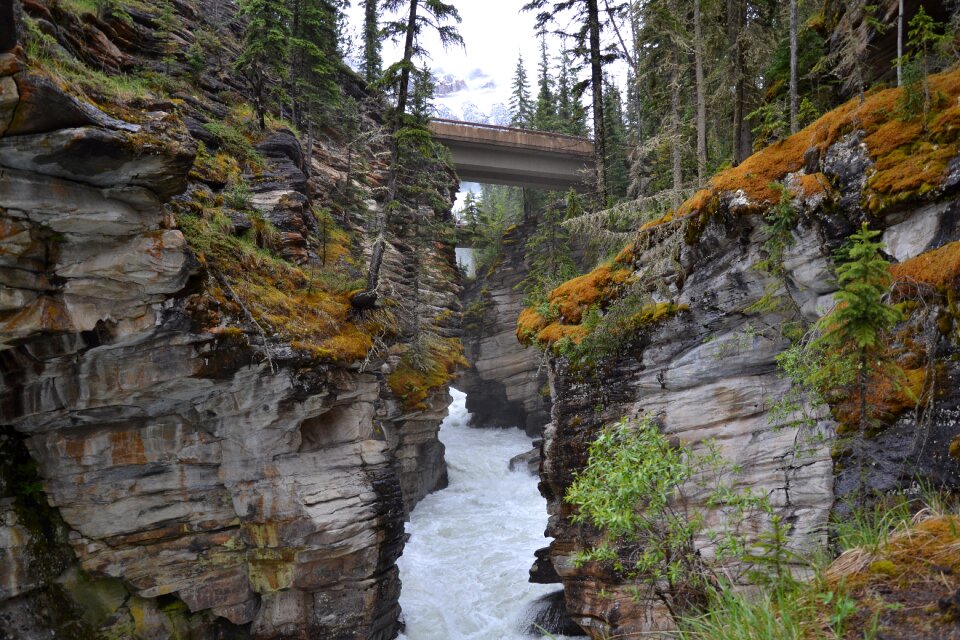 National park water forest