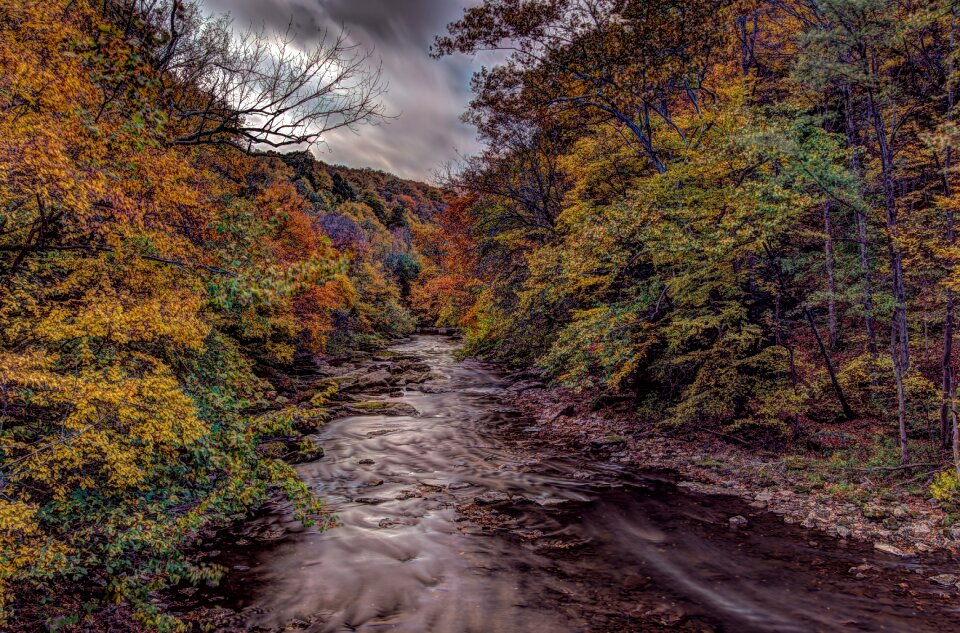 River yellow season