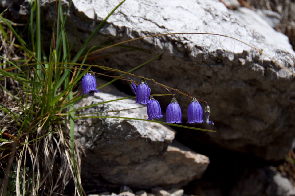 Violet rock mountain