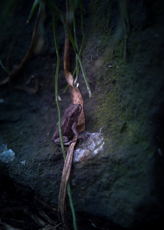 Gloomy mysteriously rock
