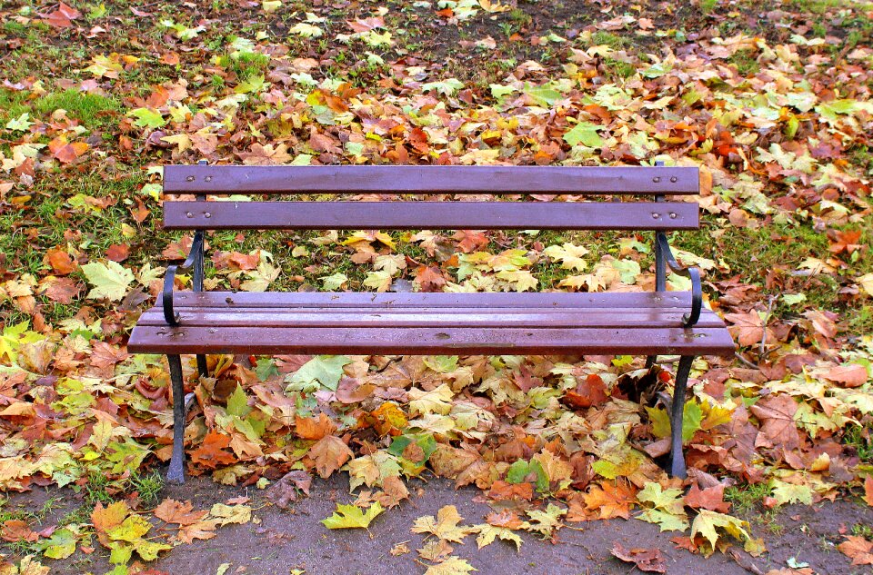 Nature foliage rest