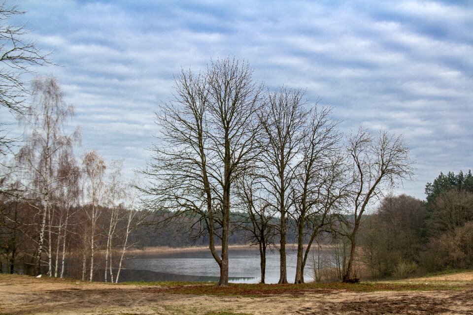 View ecology landscape