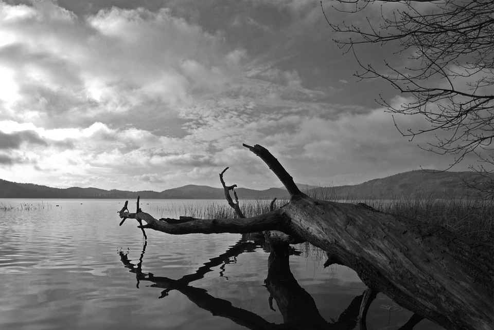 Lake black and white water