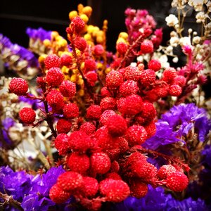 Nature spring floral