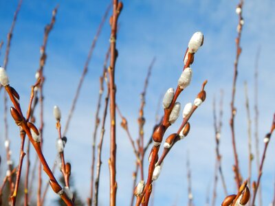 Nature season march