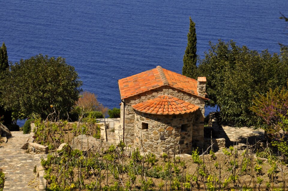 Vineyard tuscany colors