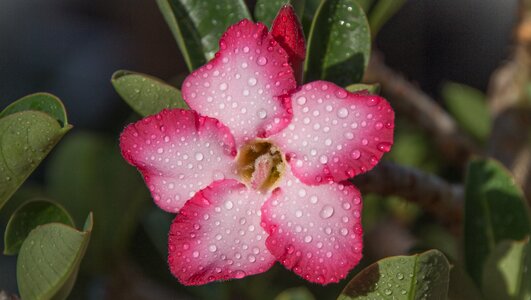Water drop focus