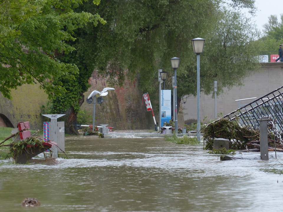 Disaster destruction road