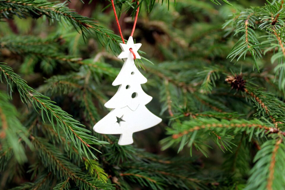 Christmas decoration coniferous twigs