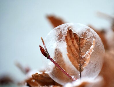 Frozen bubble ball transparent photo