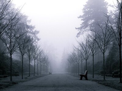 Mystical landscape foggy photo
