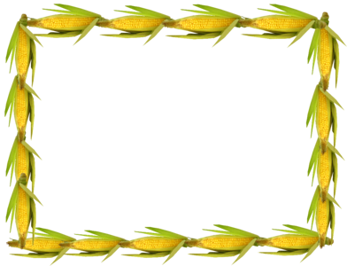 Vegetable decoration cut out