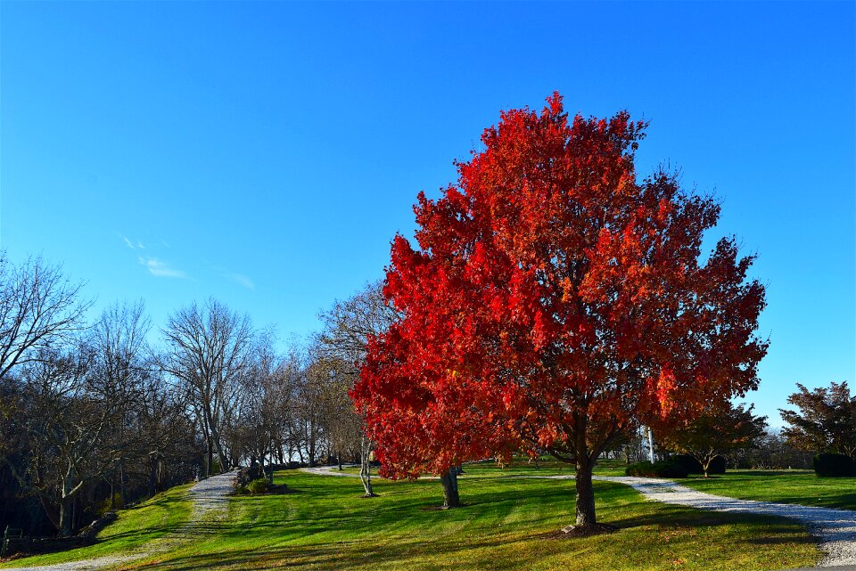 Autumn fall season