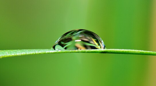 Rain nature wet photo