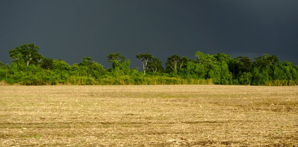 Rain clouds tree line agriculture photo