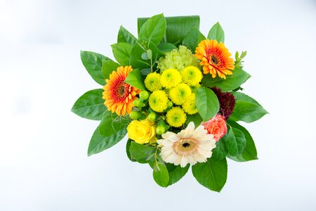 Bouquet of flowers cut flowers gerbera photo