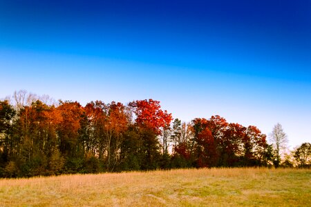 Fall sunrise outdoor