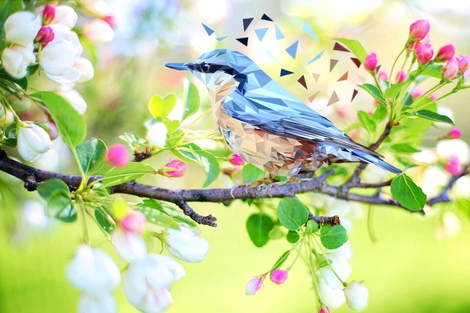 Animals fauna tree
