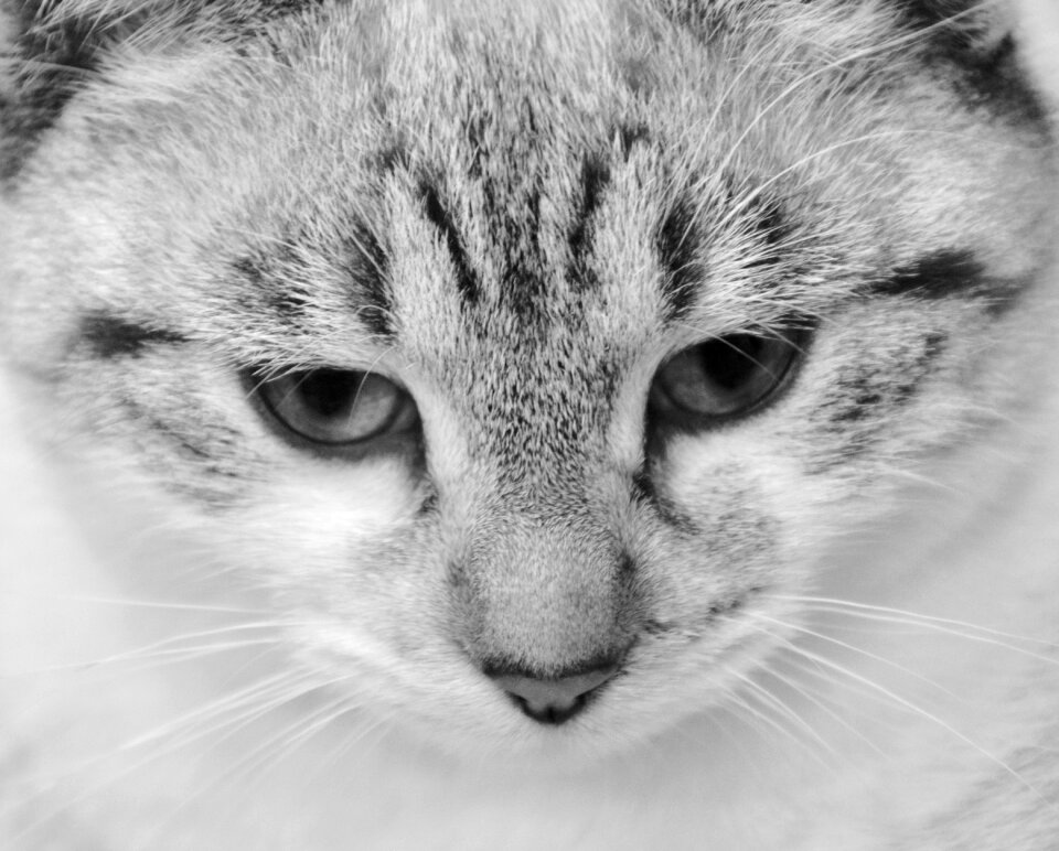 Cute picture young female