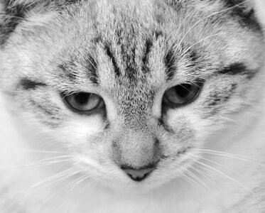 Cute picture young female