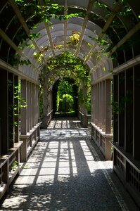 Architecture italian arch photo