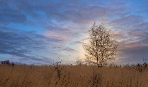 Landscape field poland