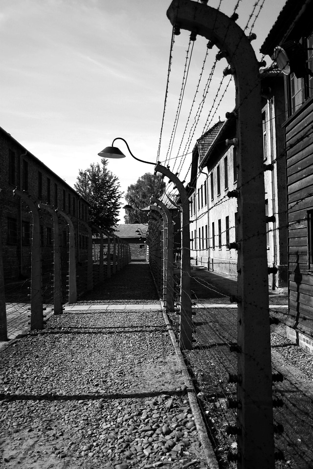 Electrified barbed wire poland oswiecim