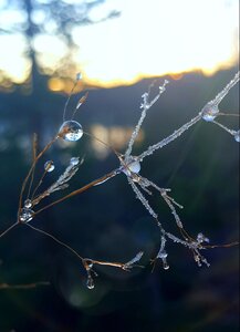 Nature frozen autumn