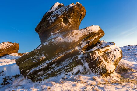 Snow december the roaches