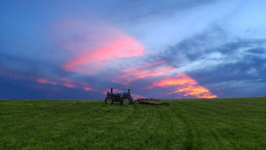 Field green meadow photo