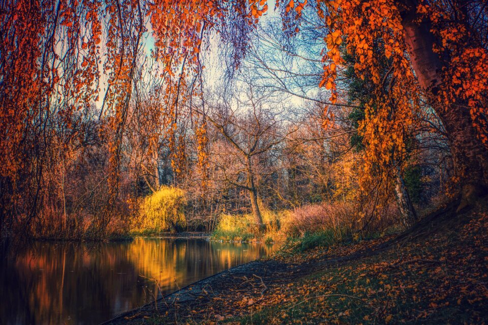 Landscape color autumn