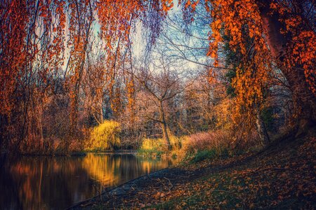 Landscape color autumn photo