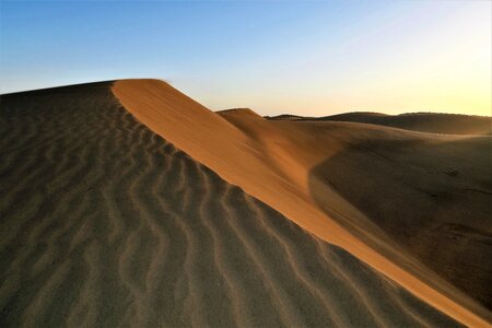 Dunes desert sahara photo