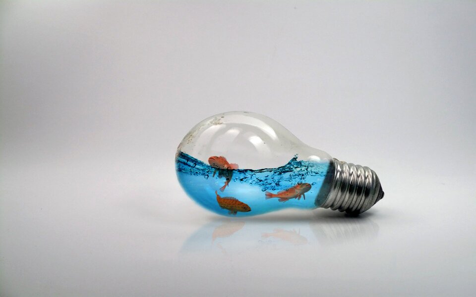 Fish bulb photo manipulation photoshop