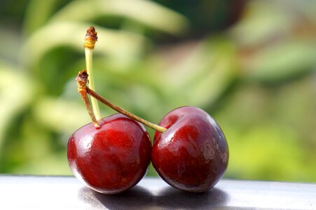 Food the cherry australia nine dream