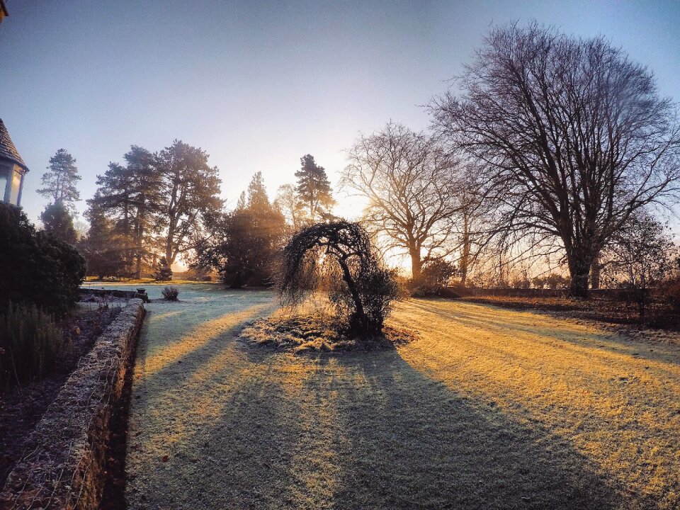 Rural garden dawn