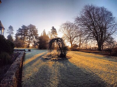 Rural garden dawn