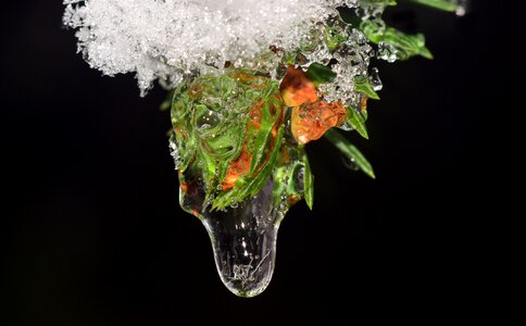 Cold winter snow