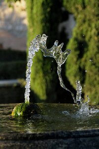 Flow natural clean
